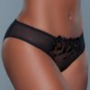LuckeLadybug LLC black sheer lace bikini underwear with mesh sides and velvet floral appliques