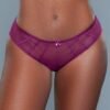 LuckeLadybug LLC purple mesh panties on model with bow front product listing in black mesh panties category