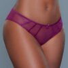 LuckeLadybug LLC model wearing sheer plum mesh panties, similar style to black mesh panties