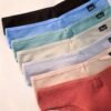 Assorted women's high-waisted hipster underwear in various colors from LuckeLadybug LLC