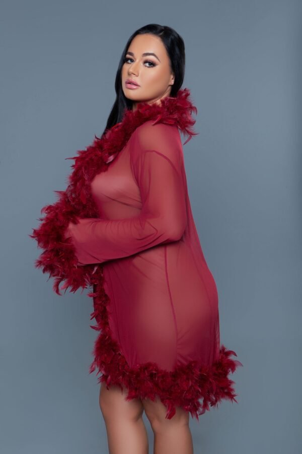 Feather Trim Robe Sheer Black Lingerie 66 Feather Trim Robe Sheer Black Lingerie Bewicked65ea5f31ba51623757124665ea5f31ba51d.65ea5f31ba51d 95b4c2c5 2d9f 41ec b697 68712f99dbcc