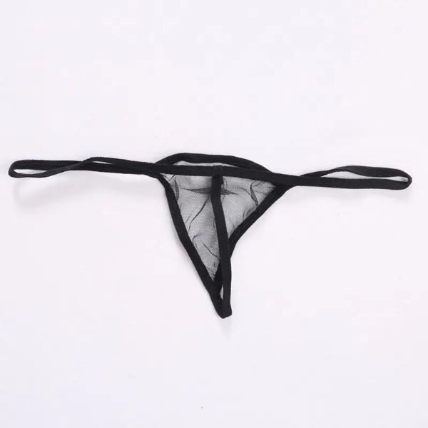 Sexy Transparent Thong Panties 2 Pack 2 Sexy Transparent Thong Panties 2 Pack LuckeLadybug sexy transparent thong panties in black with delicate lace and minimal coverage
