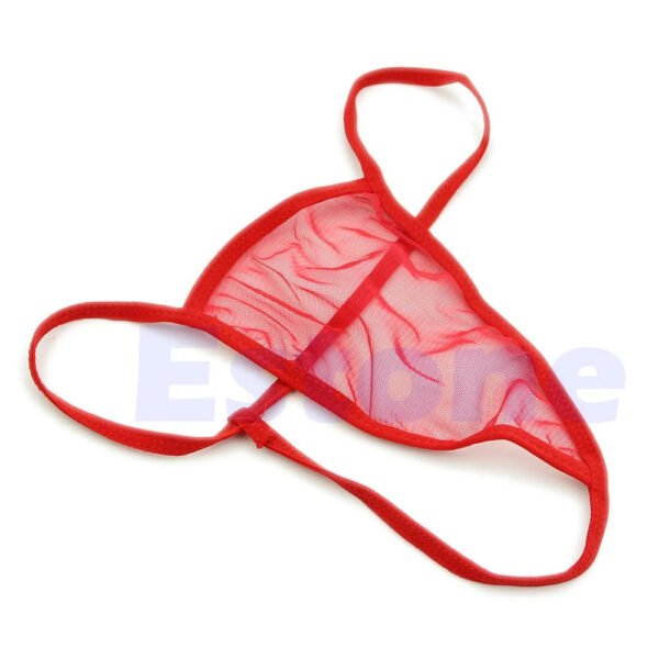 Sexy Transparent Thong Panties 2 Pack 7 Sexy Transparent Thong Panties 2 Pack Sexy transparent thong panties in red with a soft, sheer design for a playful touch
