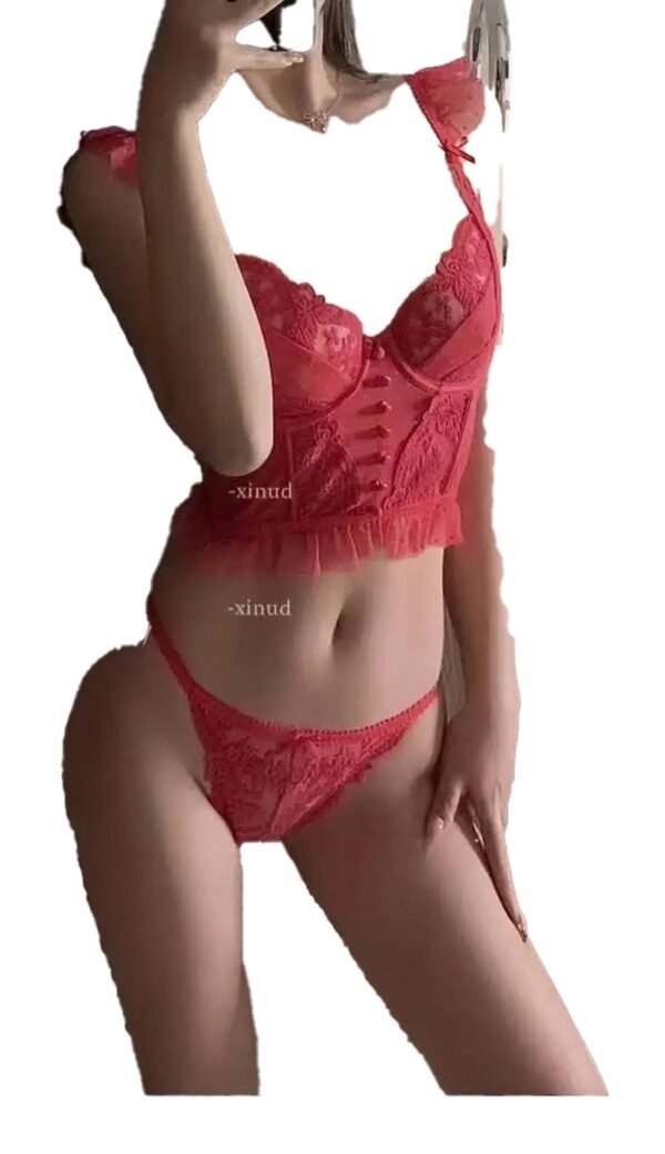 French Lace Christmas Tanga - Transparent High-Slit Erotic T Pant, Sizes S-XL 35 French Lace Christmas Tanga - Transparent High-Slit Erotic T Pant, Sizes S-XL Flat Lay of French Lace Christmas Tanga - Transparent T Pant