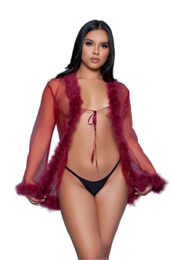 Black Sheer Lingerie Robe With Feather Trim 93 Black Sheer Lingerie Robe With Feather Trim LuckeLadybug LLC black sheer lingerie robe with maroon feather trim worn over black panties