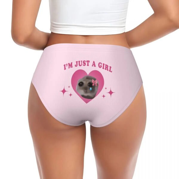 Cute Womens Underwear Briefs Hipster Style 15 Cute Womens Underwear Briefs Hipster Style Cute women's underwear briefs with a playful design saying I'm Just a Girl from LuckeLadybug LLC
