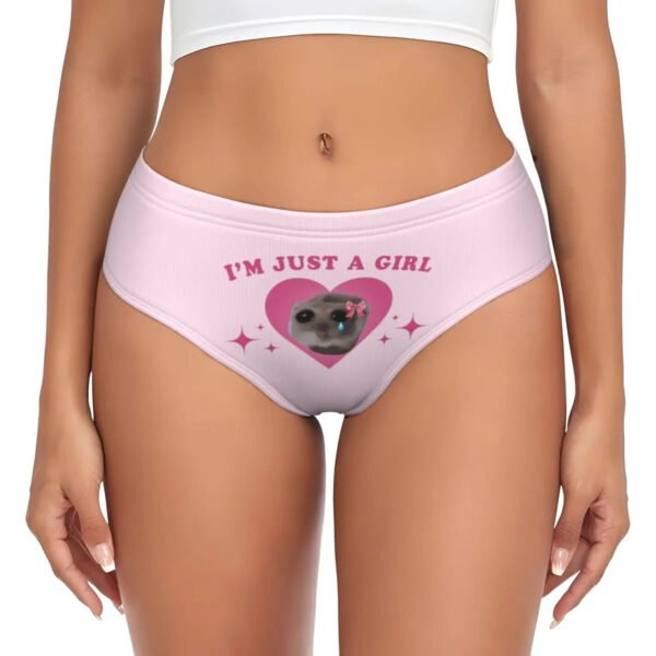 Cute Womens Underwear Briefs Hipster Style 14 Cute Womens Underwear Briefs Hipster Style Cute women's underwear briefs with a pink heart design and the text I'm Just a Girl