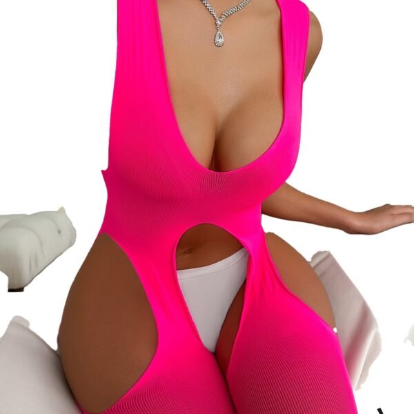 Packaging for Sultry Hot Mesh Bodystocking