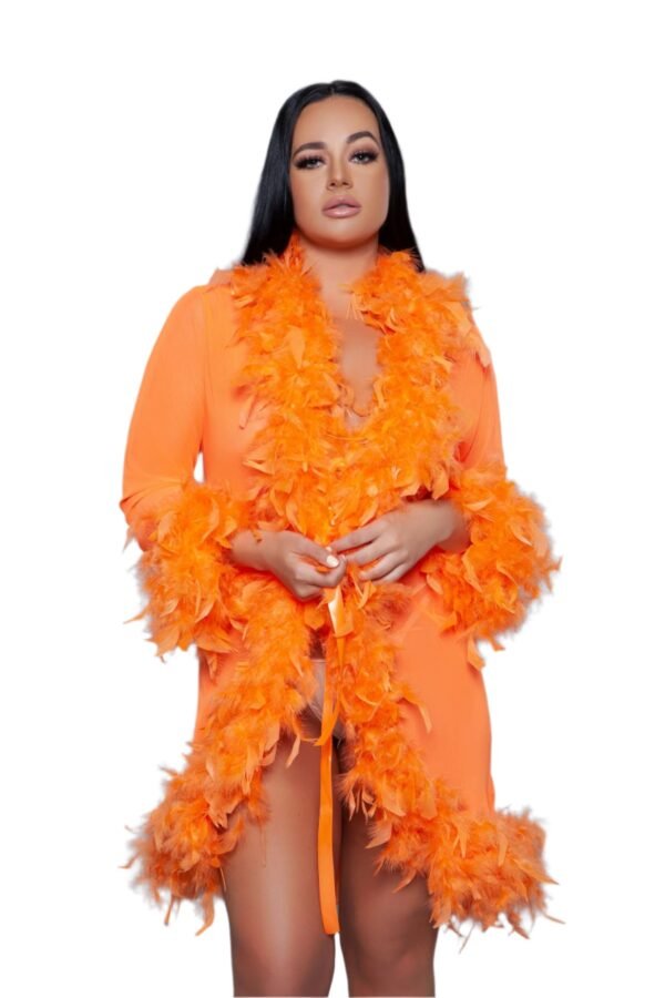 Feather Trim Robe Sheer Black Lingerie 55 Feather Trim Robe Sheer Black Lingerie LuckeLadybug LLC orange feather trim robe with fluffy feather accents on sleeves and hem