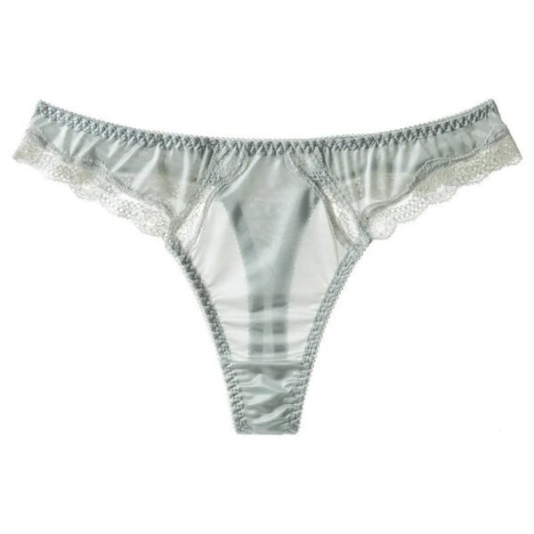 Seamless Lace Thong Underwear for Women - Elegant Comfort & Style 29 Seamless Lace Thong Underwear for Women - Elegant Comfort & Style Seamless Lace Thong Underwear for Women in Packaging