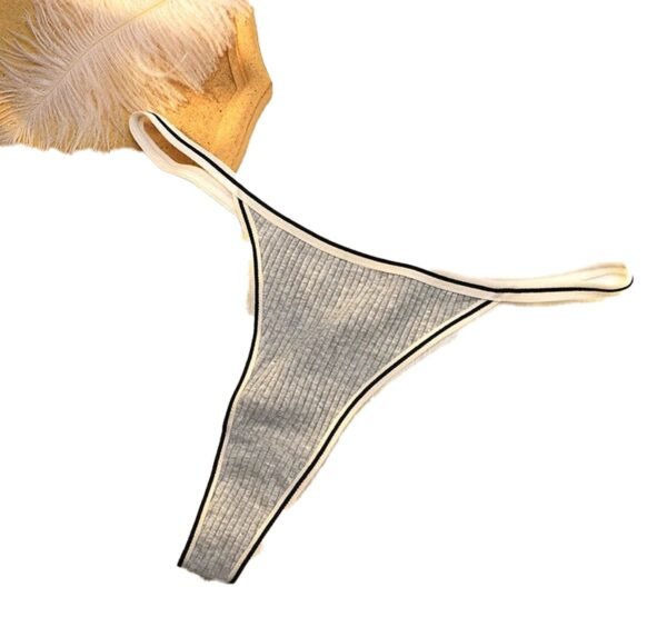 Seamless Thong For Women Trendy Styles 35 Seamless Thong For Women Trendy Styles Soft gray seamless thong for women with contrasting trim for comfort and style