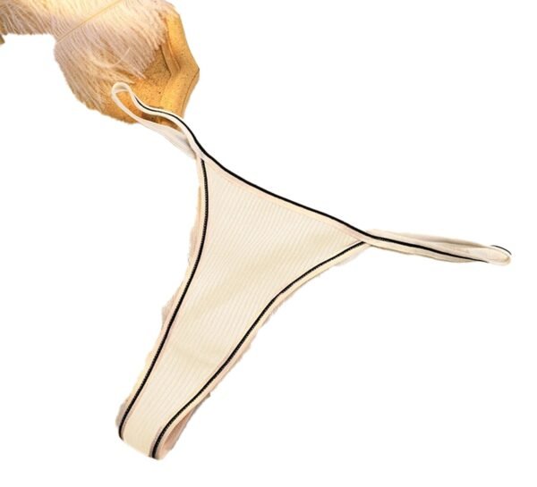 Seamless Thong For Women Trendy Styles 34 Seamless Thong For Women Trendy Styles LuckeLadybug LLC Seamless Thong for Women in White with Stylish Trim for Comfortable Wear