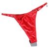 Model Wearing Luxurious Satin Thong Underwear for Women